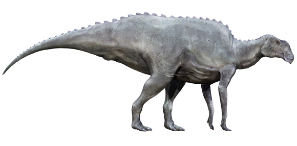 Analysis suggests grey-coloured hadrosaurids.