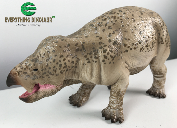 Lisowicia bojani model (CollectA Deluxe).