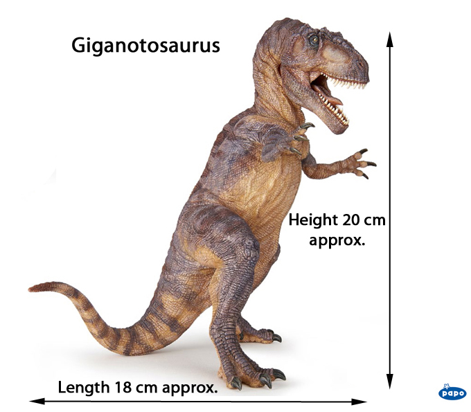 Official measurements for the new for 2020 Papo Giganotosaurus dinosaur model.