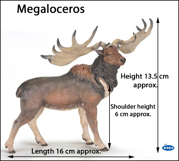 Official measurements for the new for 2020 Papo Megaloceros prehistoric animal model.