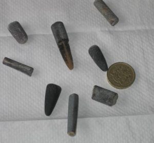 Some belemnite guard fossils, the coin shows scale.