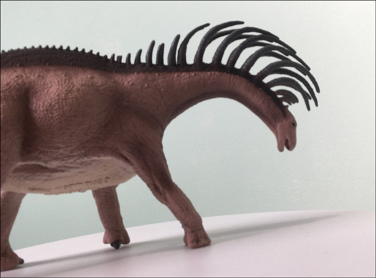 The CollectA Deluxe Bajadasaurus.