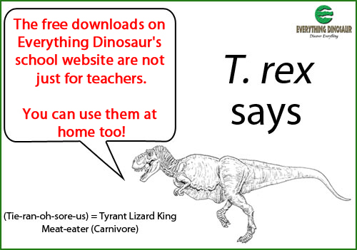 Teaching support from Everything Dinosaur.