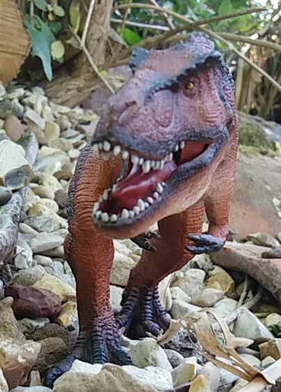 Mojo Fun Tyrannosaurus rex Deluxe with an articulated jaw.