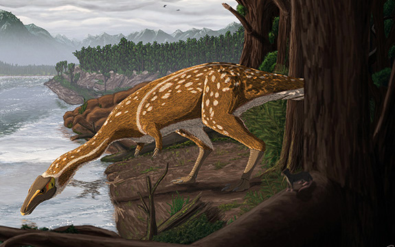 Life reconstruction of the elaphrosaur from Victoria.