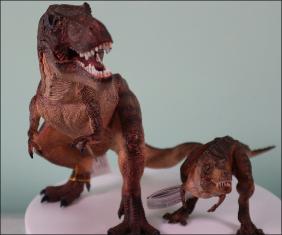 Papo Brown standing T. rex and the Papo Gorgosaurus dinosaur models.