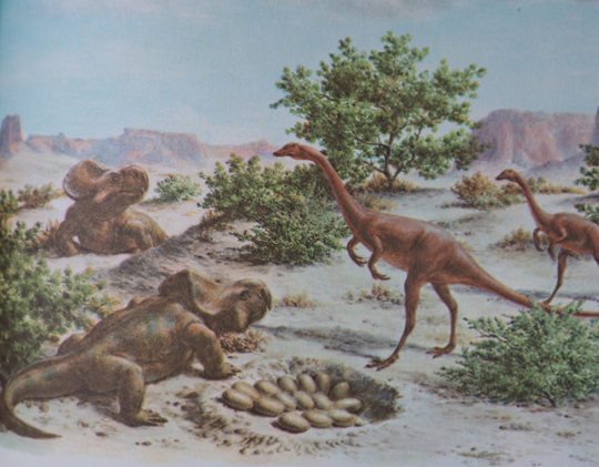 Protoceratops defends its nest from Oviraptor.