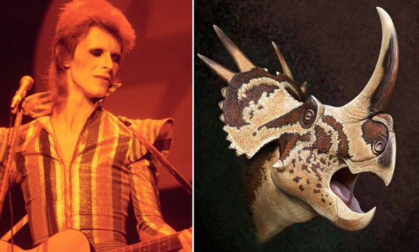 Two flamboyant characters David Bowie and Stellasaurus.