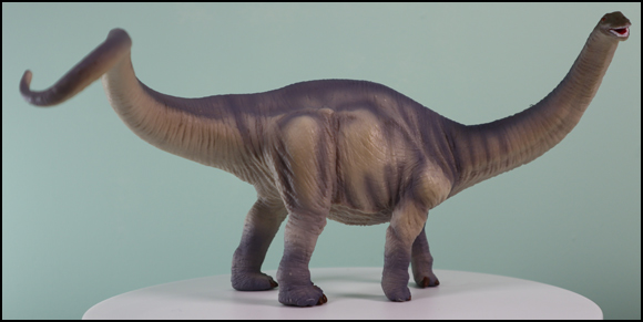 Mojo Fun Brontosaurus dinsoaur model in the Everything Dinosaur studio.