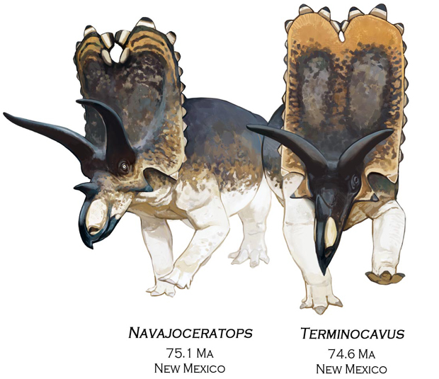 Navajoceratops and Terminocavus life reconstructions.