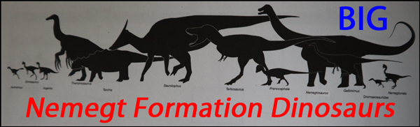 The Nemegt Formation contains the fossils of many dinosaurs.