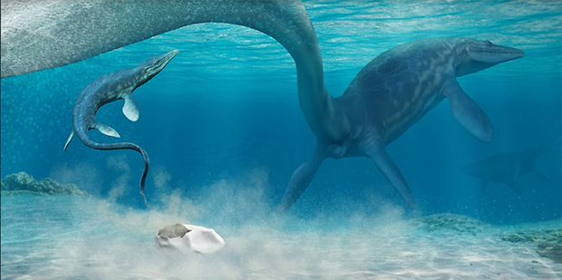 The Seymour Island fossil site could represent a mosasaur nursery.