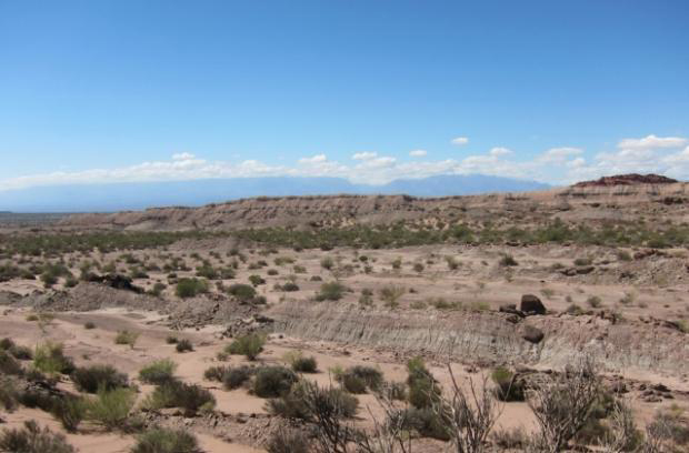 A view of the The famous Ischigualasto Formation (foreground) the Sierra de Famattina Mountains can be seen on the horizon.