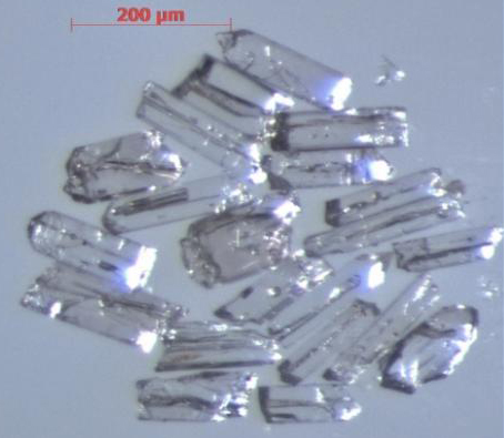 Zircon crystals help to date parts of the Ischigualasto Formation in Argentina.