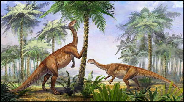 Irisosaurus yimenensis illustration.