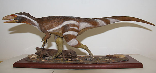 Aratasaurus museonacionali model on display at the museum.