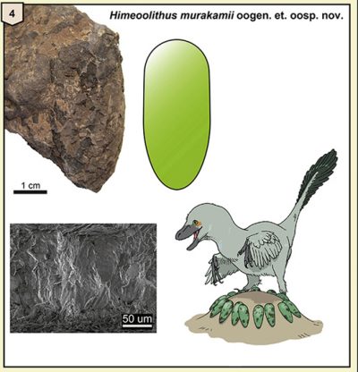 small theropods