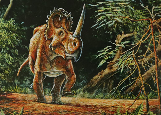 An illustration of Centrosaurus.
