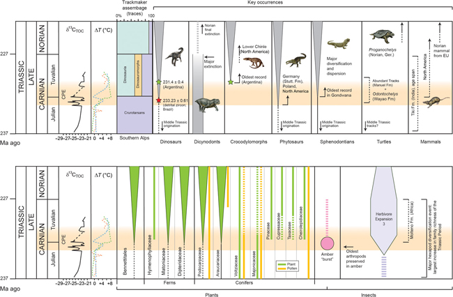 Mapping the major biological changes amongst plants, insects and vertebrates during the Carnian.