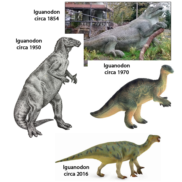 Iguanodon - changing scientific interpretations.