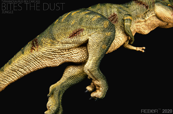Rebor T. rex carcass - "Bites the Dust".