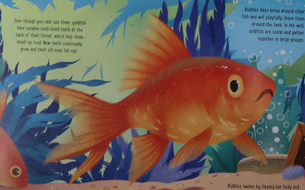 A goldfish from the book "Prehistoric Pets".
