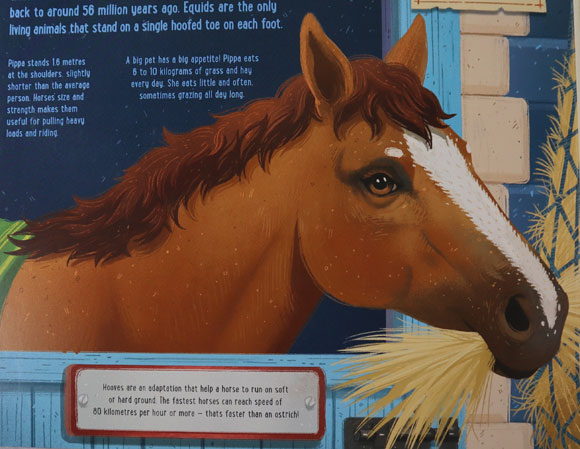 Horses feature in the book "Prehistoric Pets".