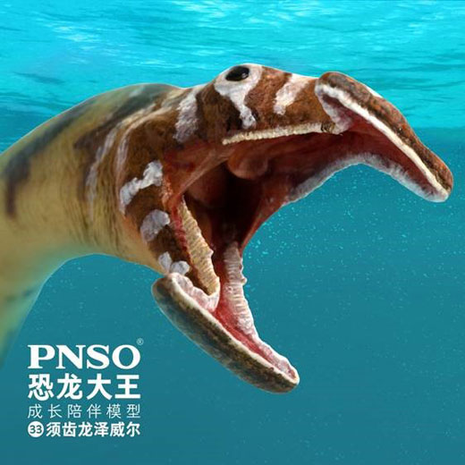 The PNSO Atopodentatus marine reptile model.