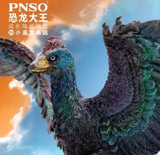 PNSO Gaoyuan Microraptor model.