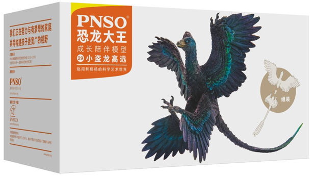 PNSO Microraptor model.