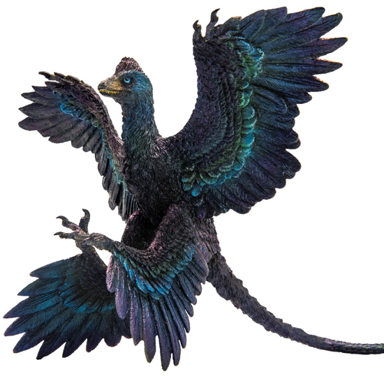 PNSO Gaoyuan the Microraptor model.