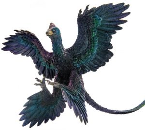 The PNSO Gaoyuan the Microraptor model.