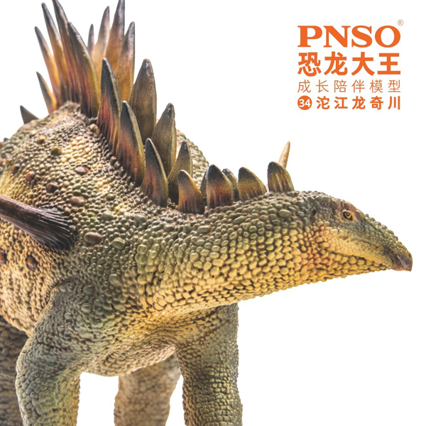 PNSO Tuojiangosaurus model.