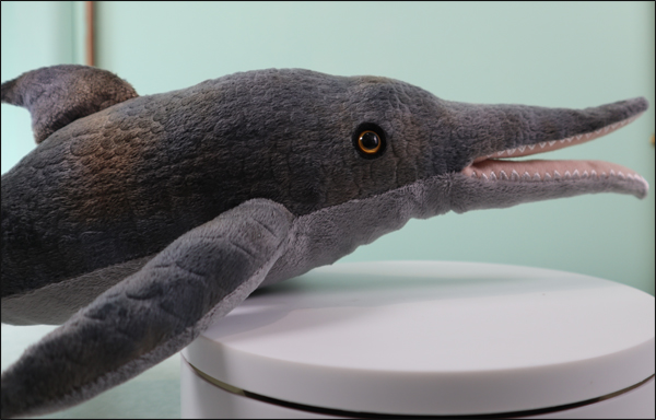 A soft toy Ichthyosaurus