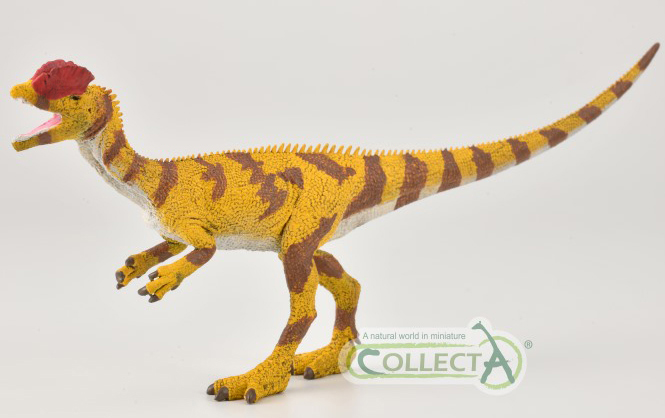 CollectA 1:40 scale Dilophosaurus dinosaur model.
