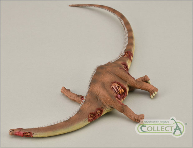 New for 2021 the CollectA Brontosaurus prey.