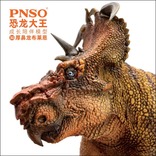 PNSO Pachyrhinosaurus dinosaur model.