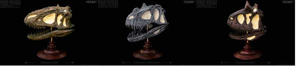 The Rebor Oddities Fossil Skulls
