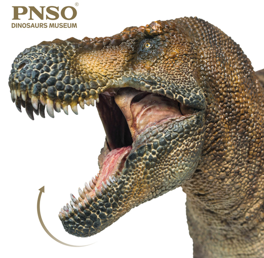 PNSO "Wilson" with an articulated lower jaw.