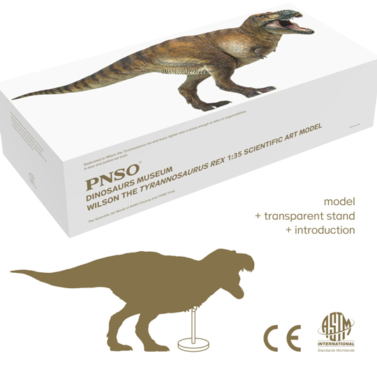 The model is supplied with a transparent support stand (PNSO T. rex).