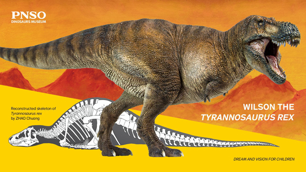 PNSO "Wilson" Tyrannosaurus rex model.