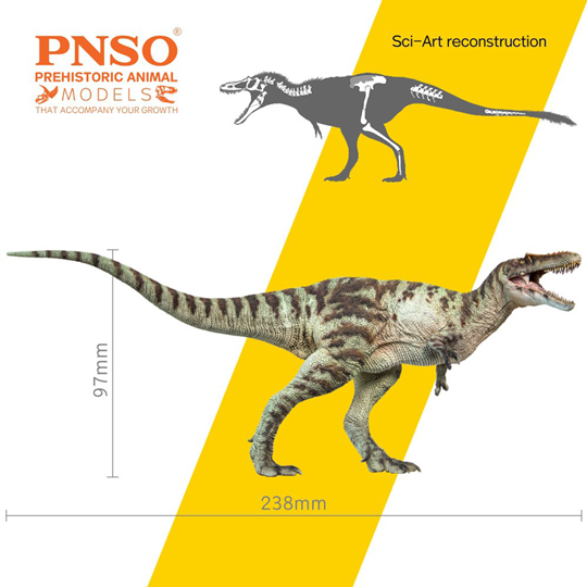 The PNSO Qianzhousaurus dinosaur model measurements.