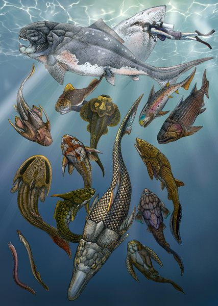 Life reconstruction of Devonian fishes with a Great White shark and a diver for scale.