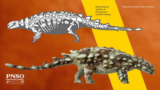 PNSO Bart the Pinacosaurus dinosaur model (lateral view).