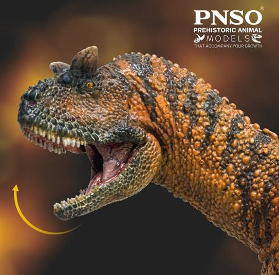 PNSO Domingo the Carnotaurus dinosaur model (close-up view of the head).