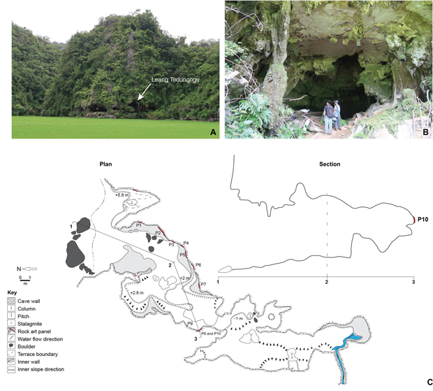 Views of the Leang Tedongnge cave on Sulawesi and a schematic diagram of the cave system.