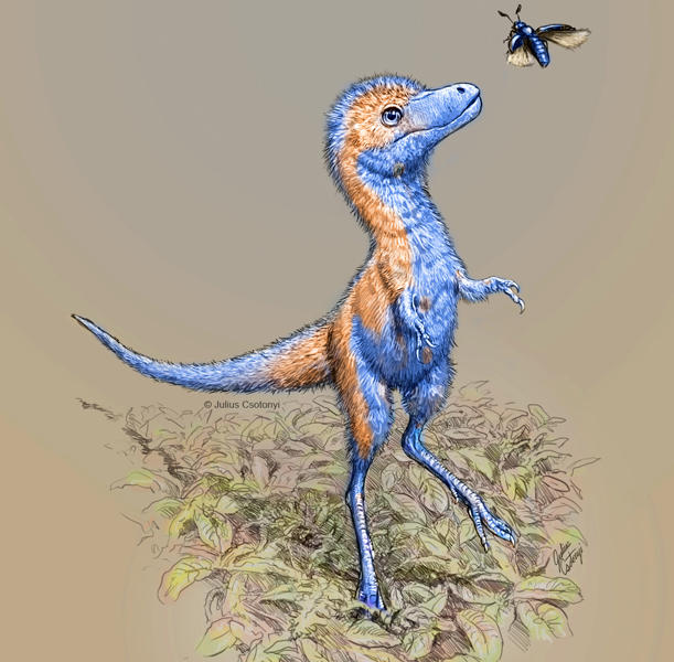 Juvenile tyrannosaur life reconstruction.