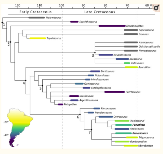 Titanosaur phylogeny and palaeogeographical distribution.
