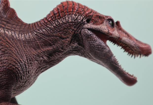 W-Dragon Spinosaurus - a close view of the head.