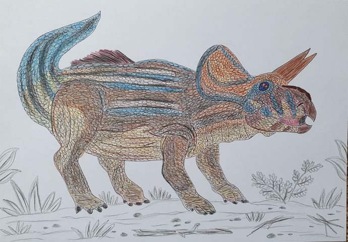 Zuniceratops christopheri by Caldey
